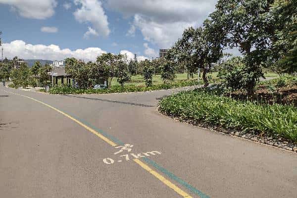 Activities, jogging trail at friendship park in Addis Ababa